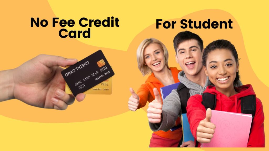 Best No Fee Rewads Credit Card for Student In 2024